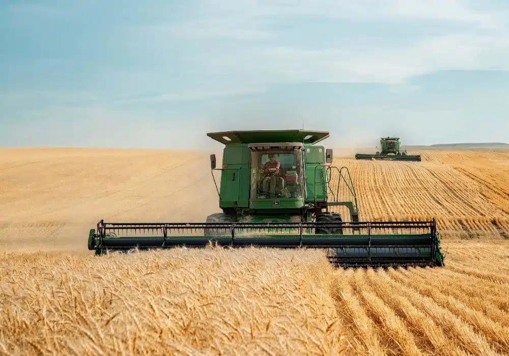 grain.russia