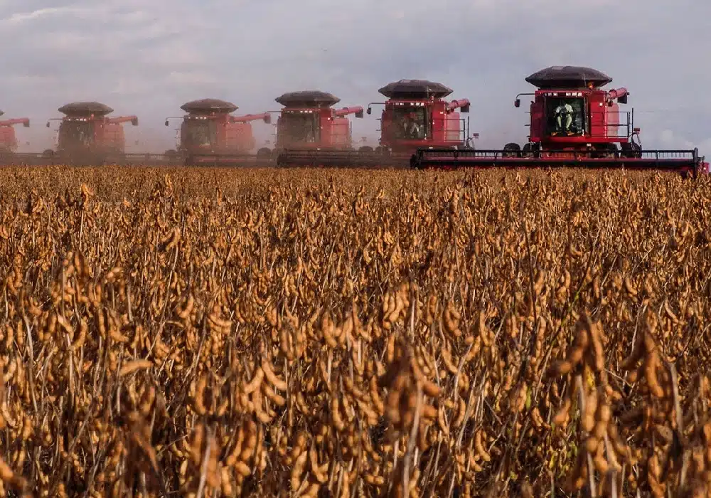 HarvestingSoyInBrazil