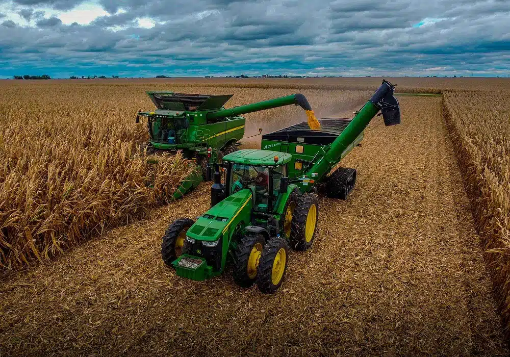 bg-corn-harvest