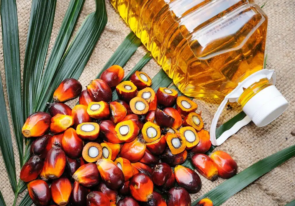 palmoil
