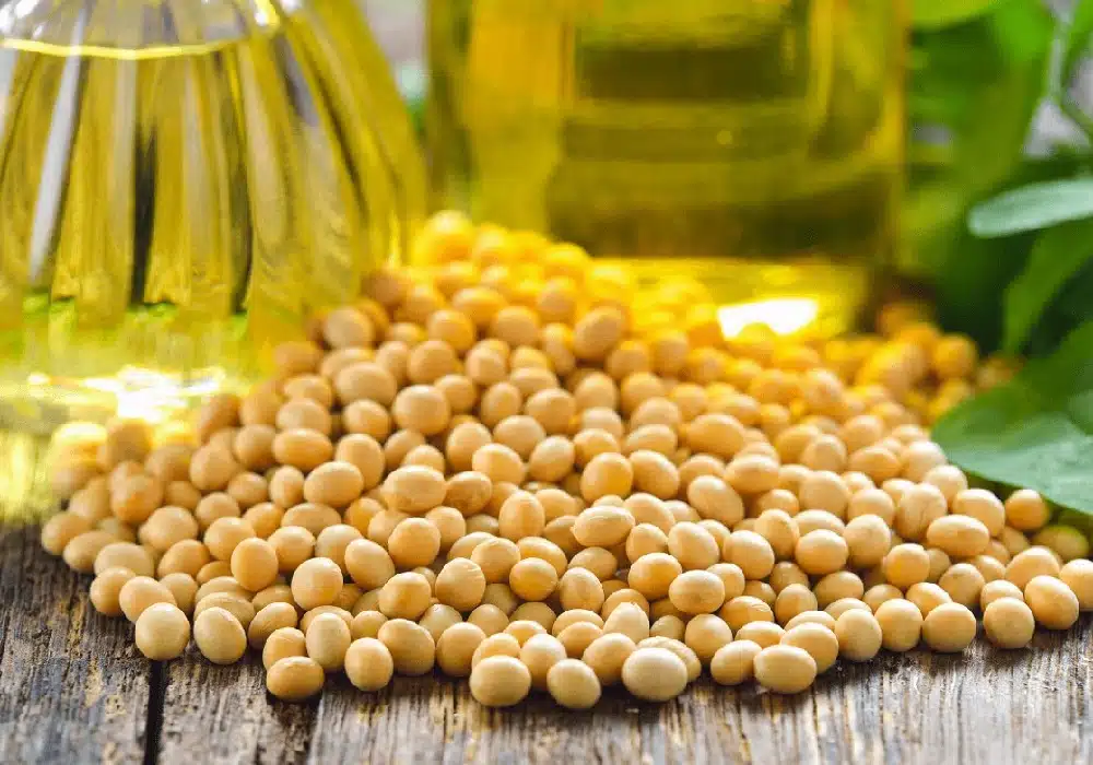 crude.soybean.oil