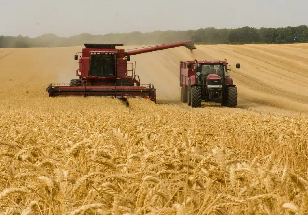 russia.agriculture