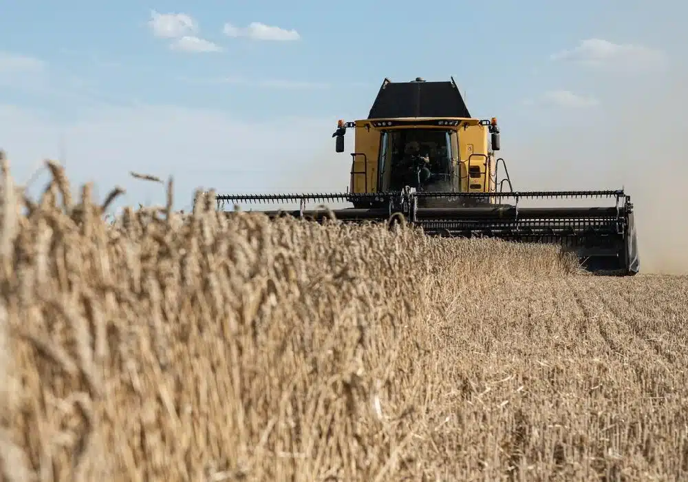 agri21