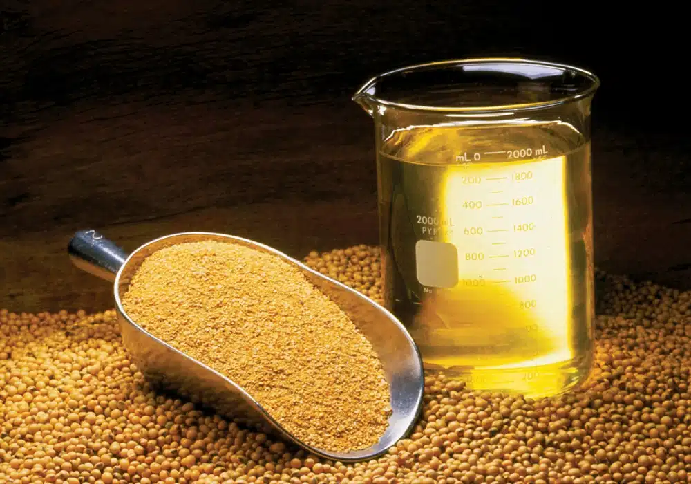 soyoil