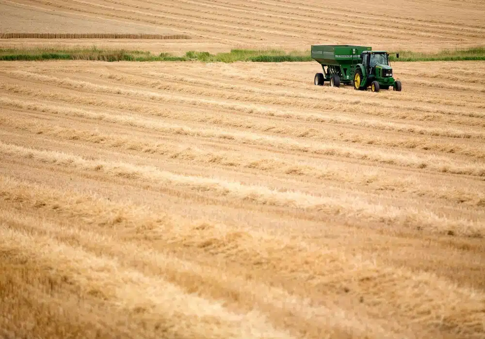 rus.agro