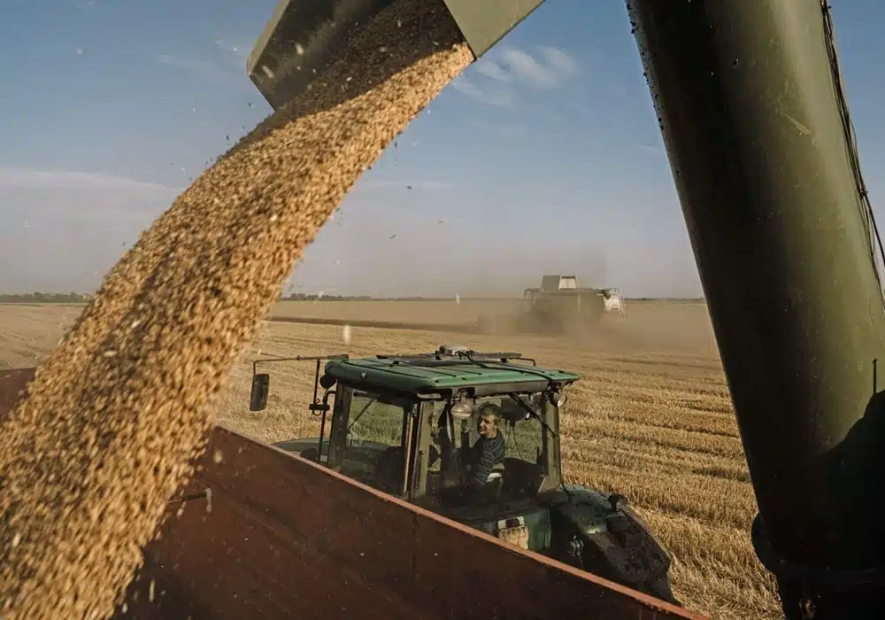 grainrus