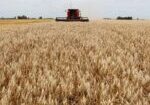ARGANTINA.FIELD