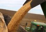 ARGENTINA-GRAINS-SOY