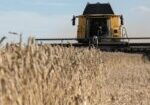 agri21